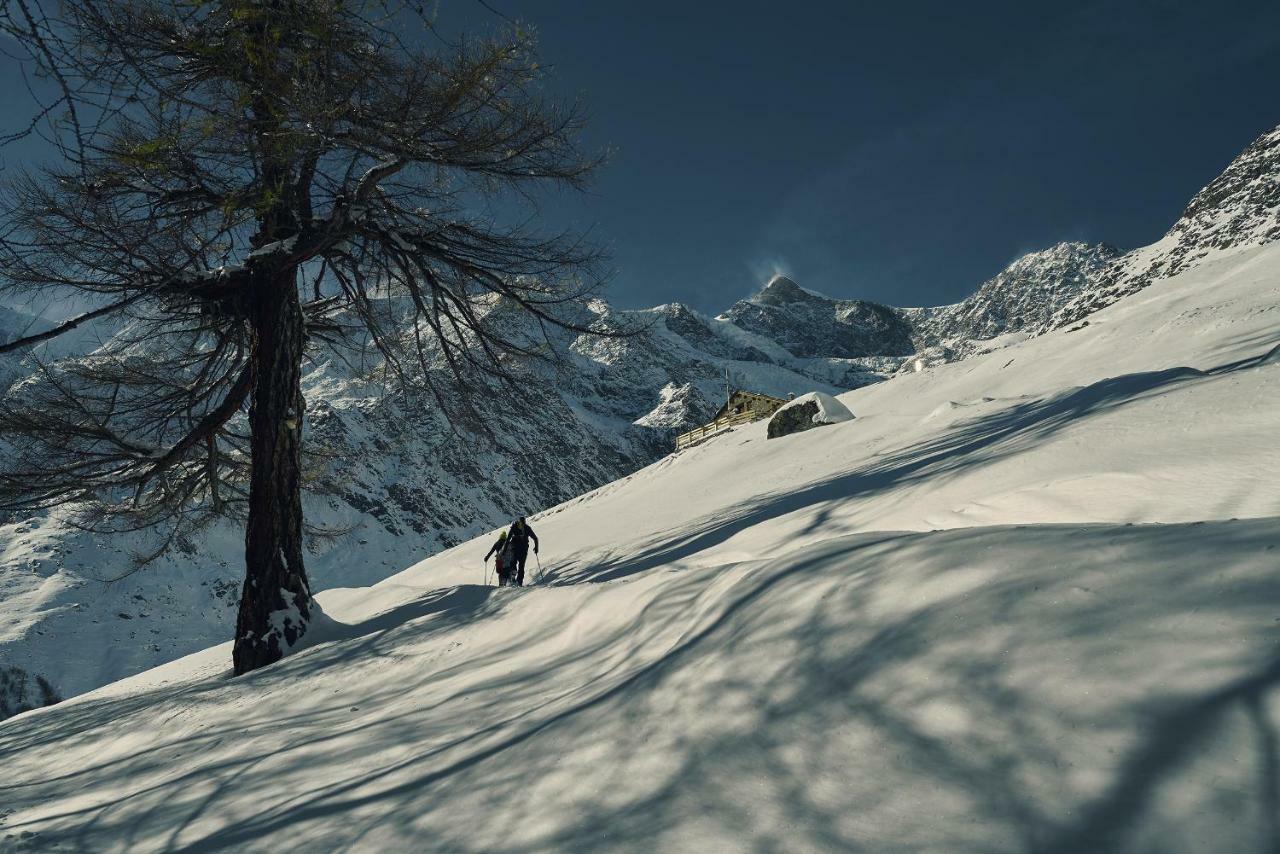 Marmotte Hotel Saas-Fee