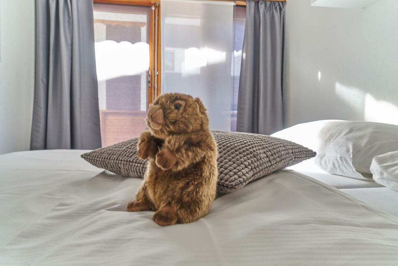 Marmotte